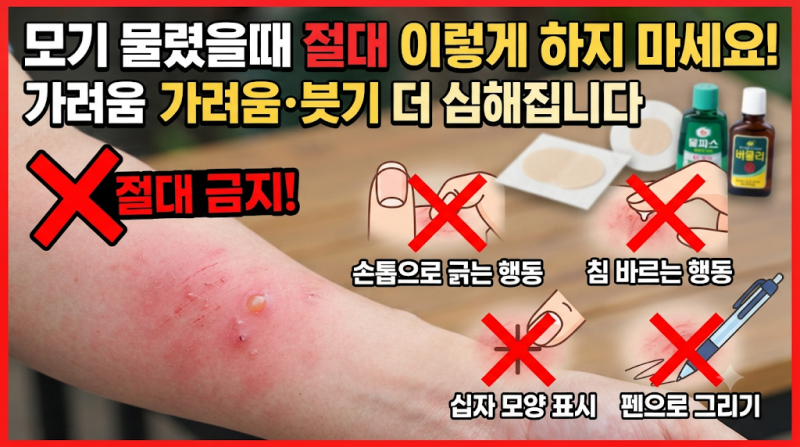 모기 물렸을때 절대 이렇게 하지 마세요! 가려움·붓기 더 심해집니다(약, 패치, 찜질, 연고, ....