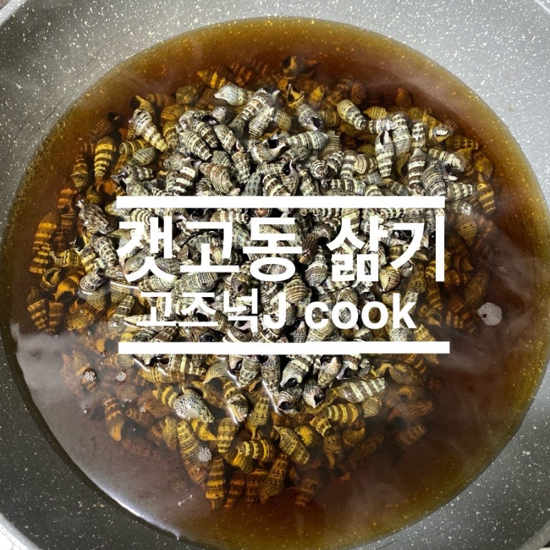 횟집 스끼다시 갯고동 만드는 방법 l 갯고둥 모래제거 방법 ㅣ 갯고동 삶는 방법