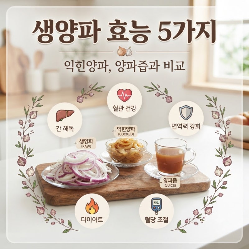 생양파 효능 먹는 법 천연 혈관 청소부 ㅣ 익힌양파, 양파즙과 비교