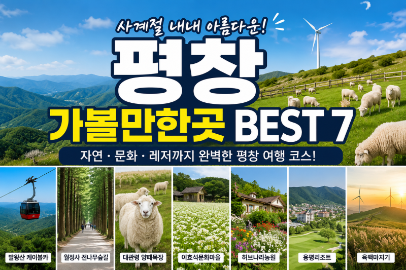 평창 가볼만한곳 BEST 7 총정리! 사계절 여행 추천 명소