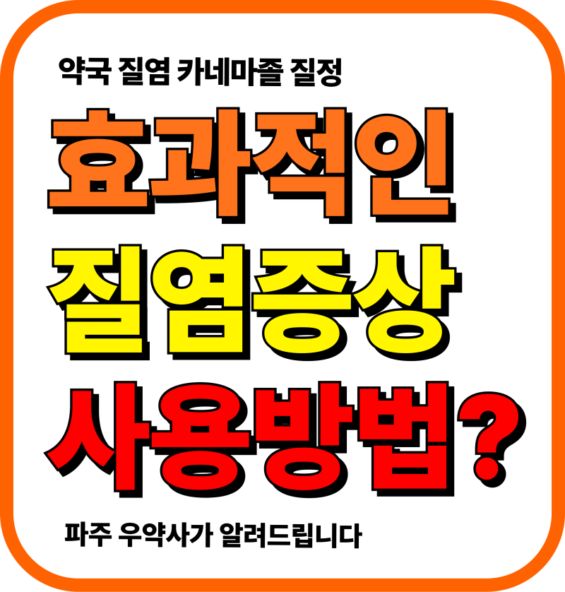 카네마졸 질정 100mg 칸디다질염 냉 분비물 효과 사용방법 주의사항 파주