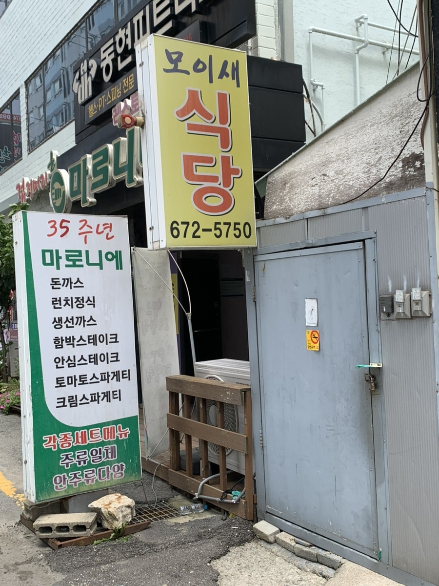마로니에 사진 3