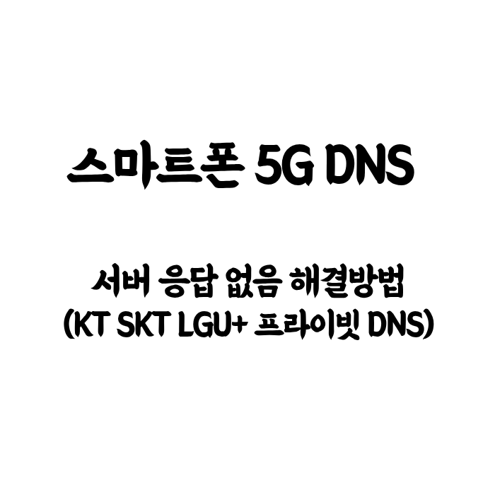 스마트폰 5G DNS 서버 응답 없음 해결 방법 (KT SKT LGU+ 프라이빗 DNS)