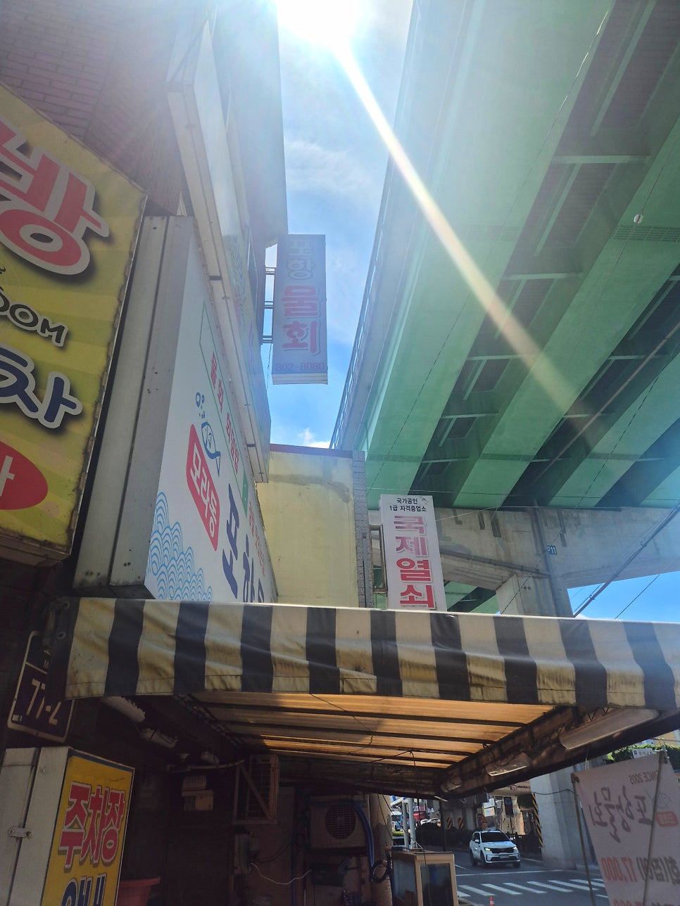 포항물회 사진 2