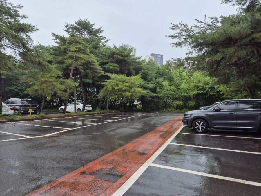 황도바지락칼국수 사진 3