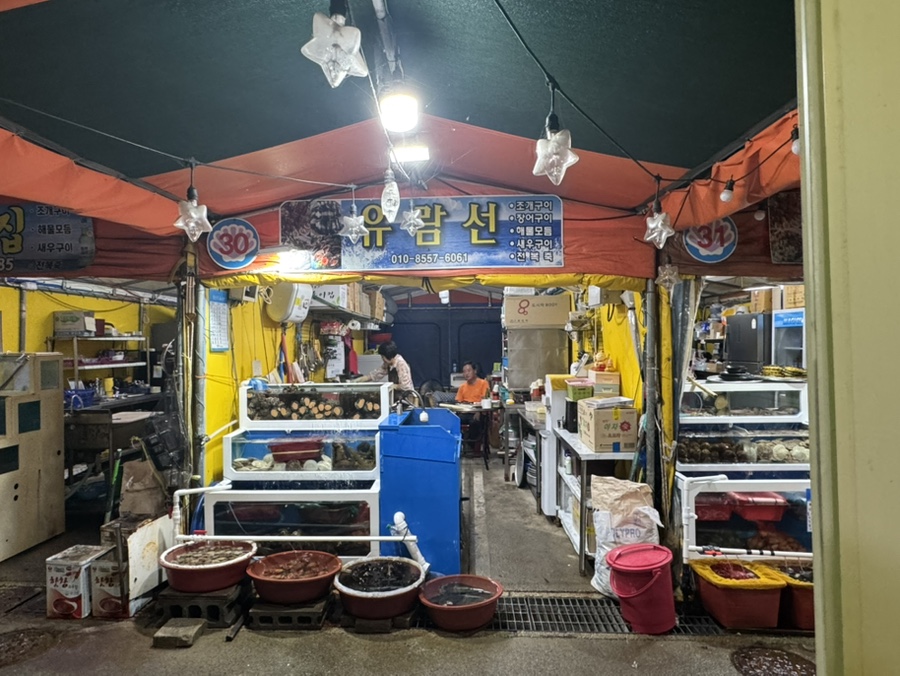유람선 사진 1