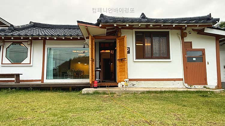 컴페니언바이경포 사진 1