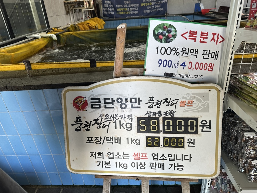 금단양만 사진 5