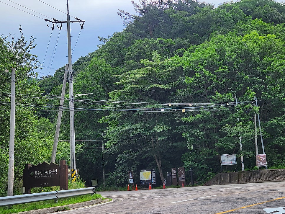 DMZ 평화의 길 21코스 사진 5
