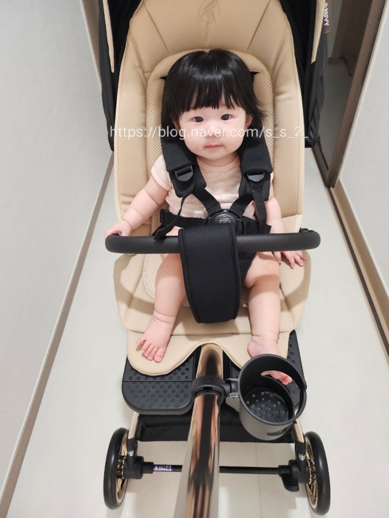 내돈내산 누비앤타보 노바 트라이크ㅣ유모차 거부하는 8개월 아기 트라이크 구매 후기