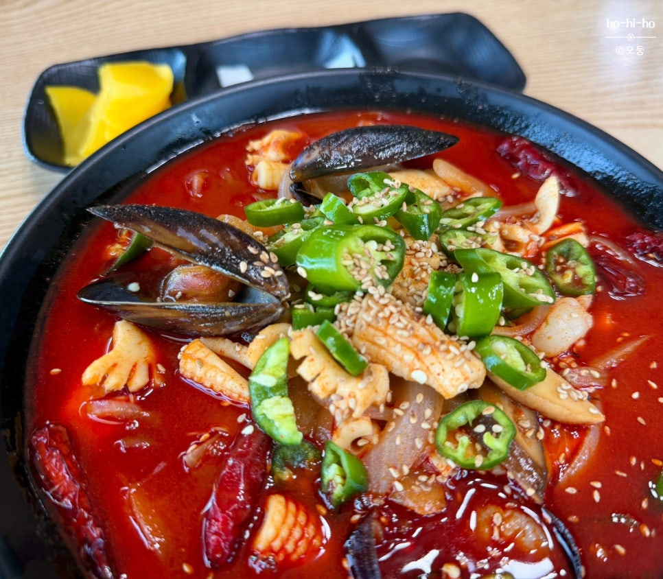 짬뽕나무 사진 1
