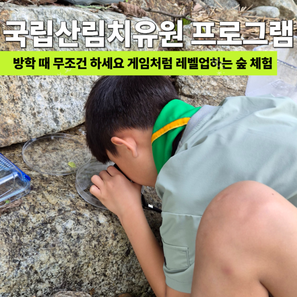 국립산림치유원 사진 2
