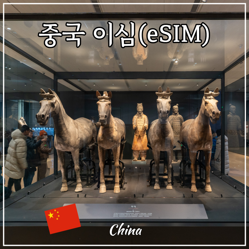 VPN 필요 없는 말톡 중국 유심 이심(eSIM) 추천 할인 시안 서안 여행 준비물