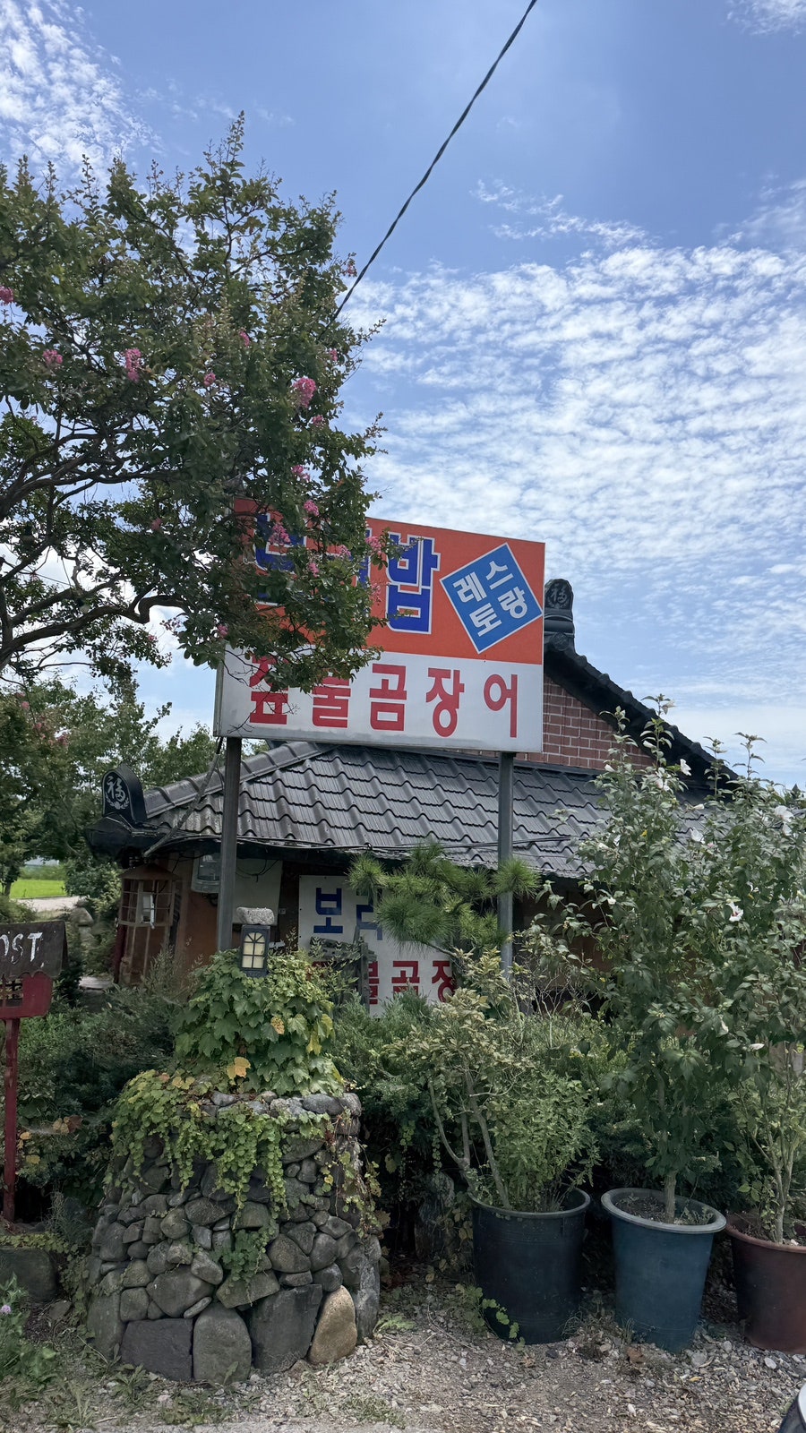 보리밥 사진 2