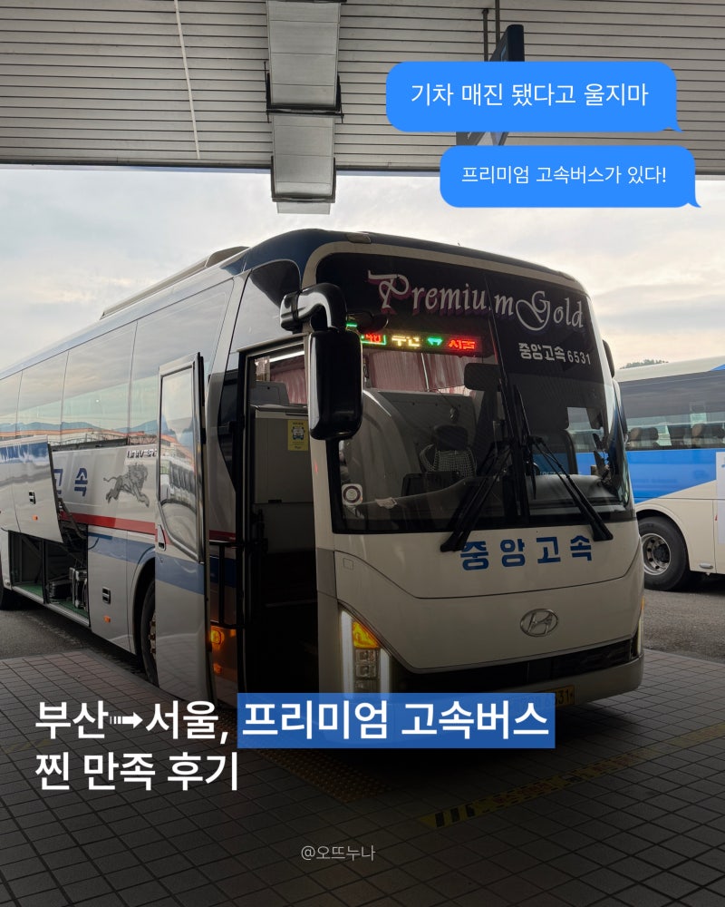 부산➟서울, 프리미엄 고속버스 | 기차 매진이라 탔는데 생각보다 만족스러운데요 ?