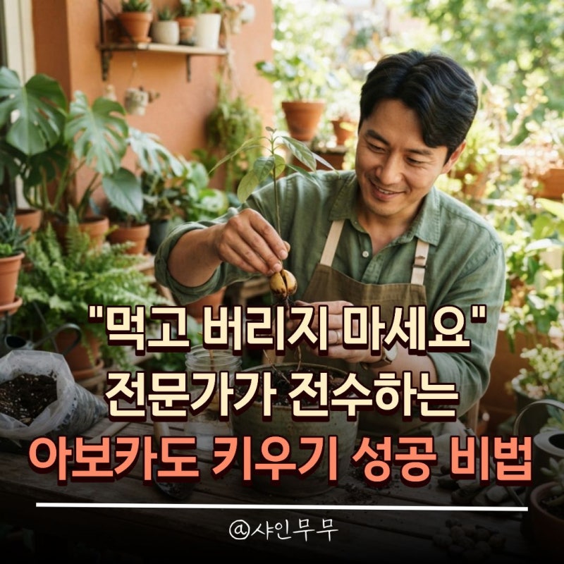 "먹고 버리지 마세요" 전문가가 전수하는 아보카도 씨앗 키우기 성공 비법