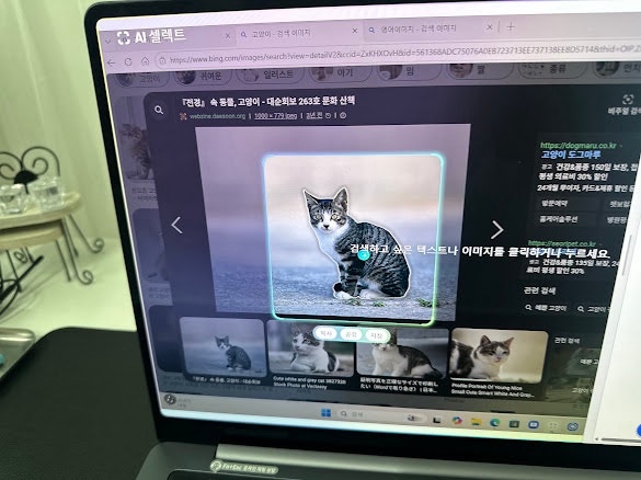 갤럭시북6울트라구독 고민 끝! 삼성노트북구독으로 파손 걱정까지 줄여본 후기