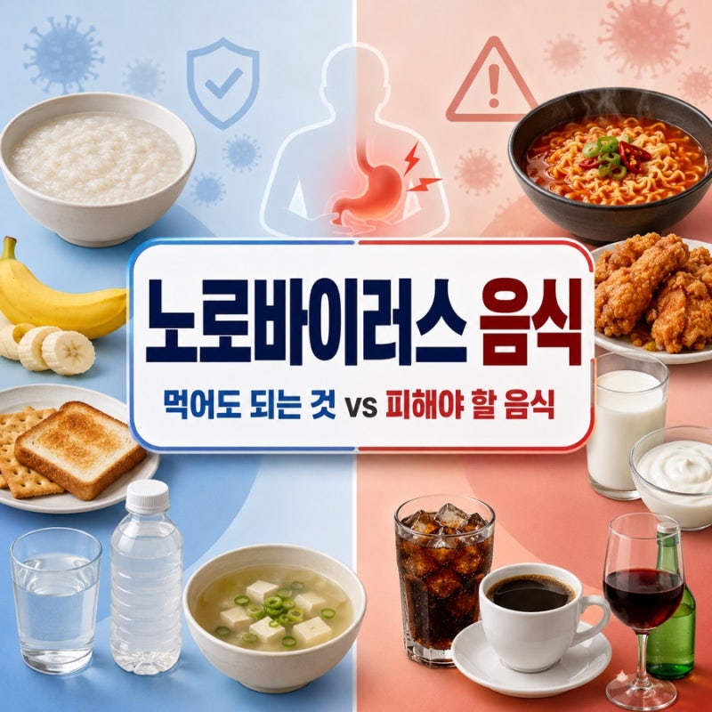 노로바이러스 음식, 먹어도 되는 것과 피해야 할 음식 총정리