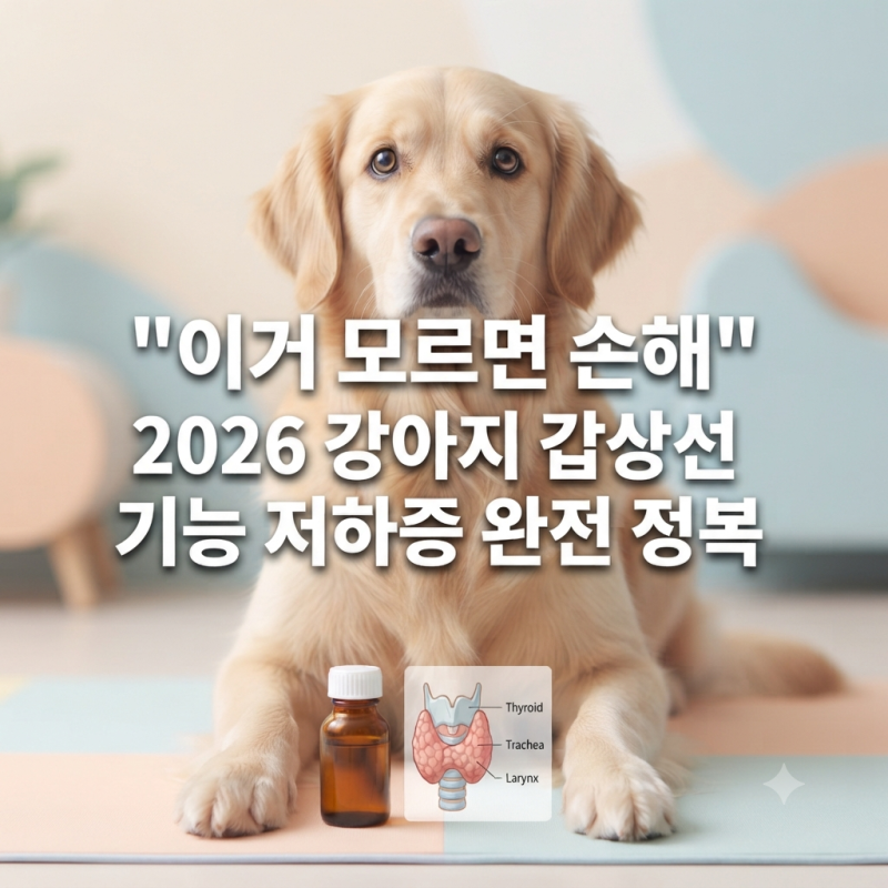 강아지 갑상선 기능 저하증증상·진단·치료·관리 완전 정복 (2026 최신)