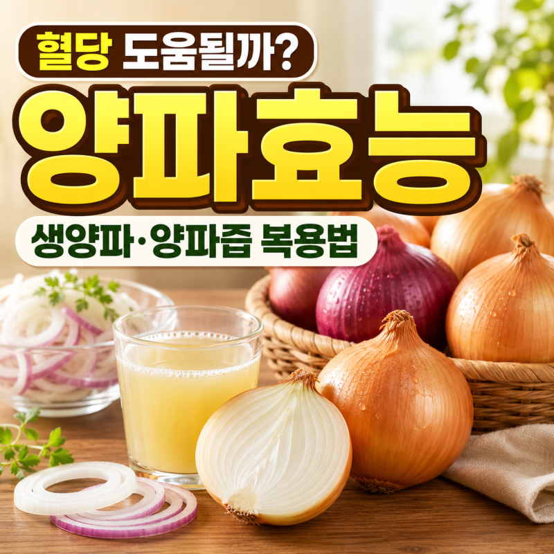양파효능 생양파 양파즙 효능 복용법