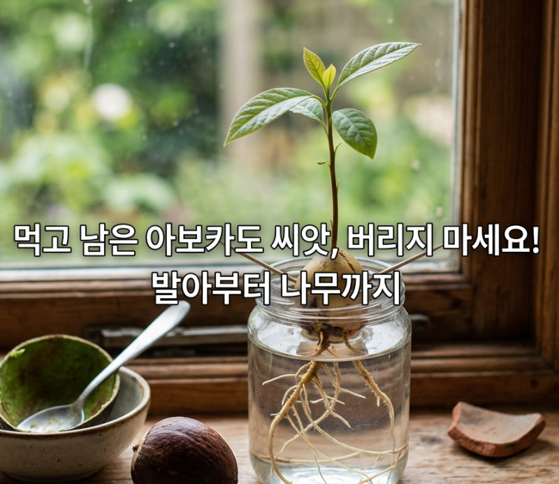 "진짜 열매가 열릴까?" 아보카도 씨앗 발아부터 나무로 키우는 과정 총정리