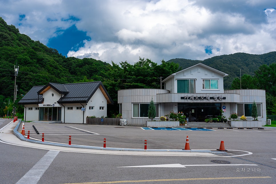 금대산 사진 4