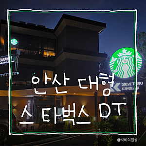 안산 사동 스타벅스 DT점 밤에 더 예뻐서 놀란 이유