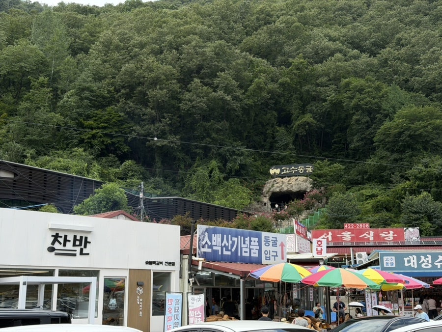 차반 사진 1