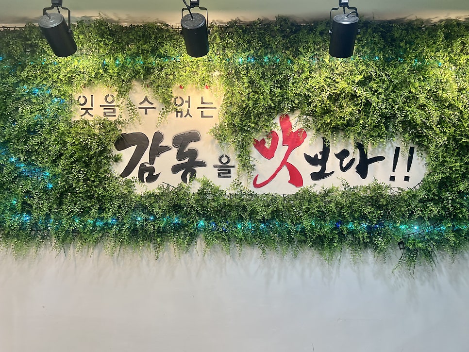 감동애 사진 5
