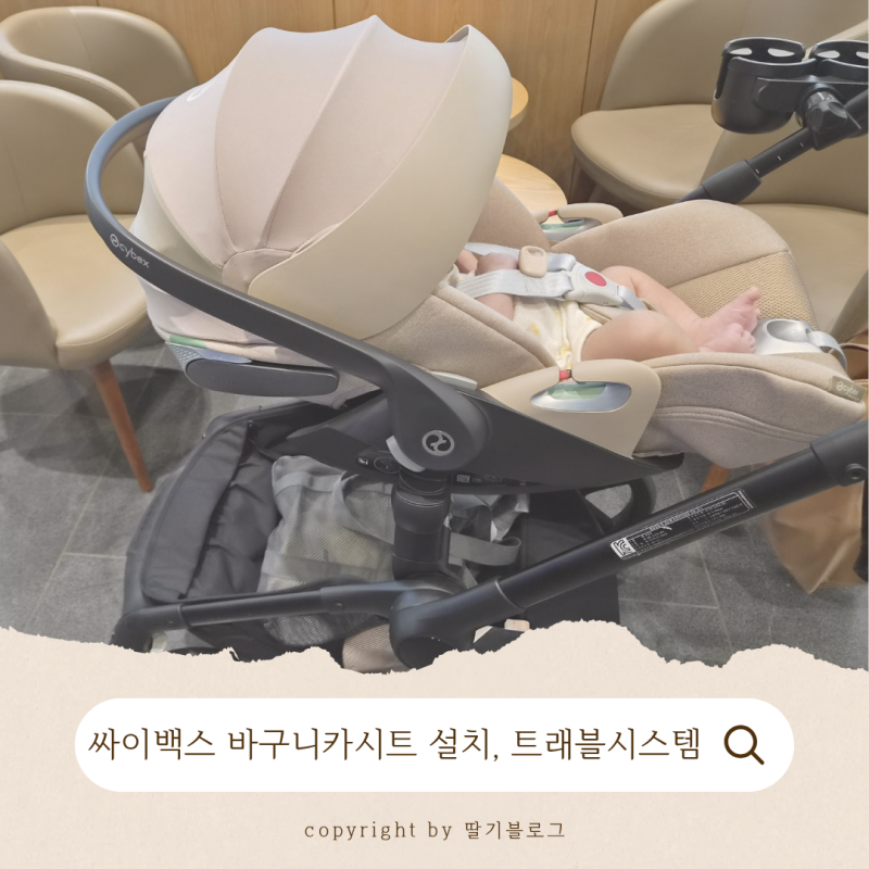 싸이벡스 바구니카시트(클라우드T) 설치, 신생아 이너시트 제거 시기, 트래블시스템 두달 사....