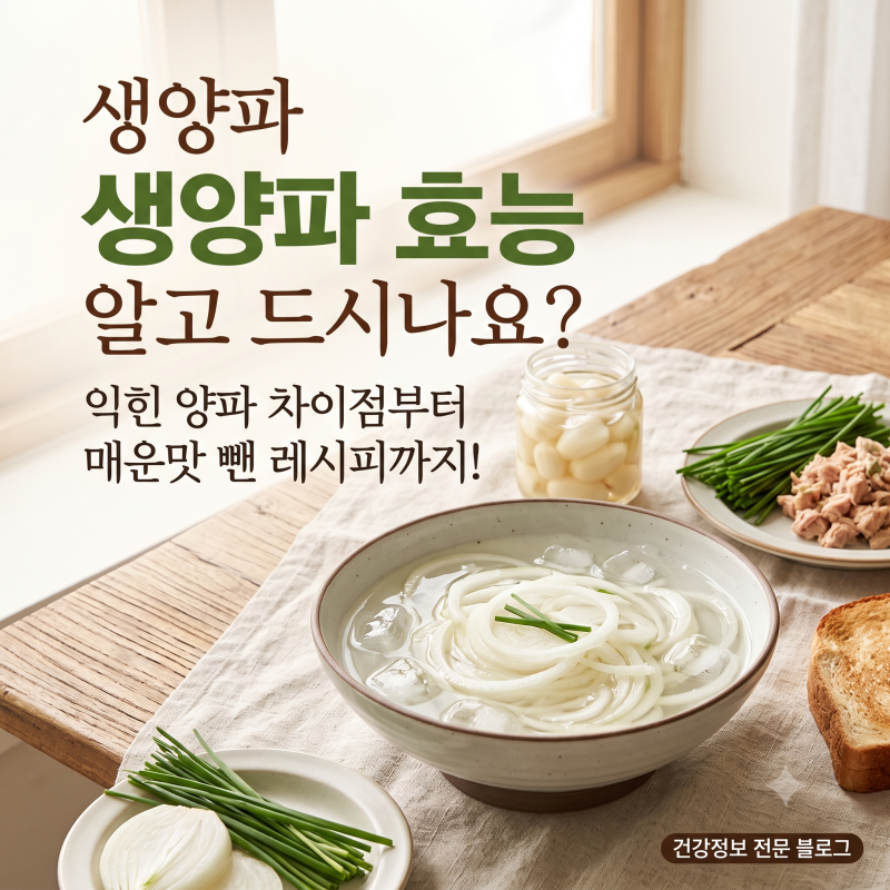 생양파 효능 알고 드시나요? 익힌 양파 차이점부터 매운맛 뺀 레시피까지!