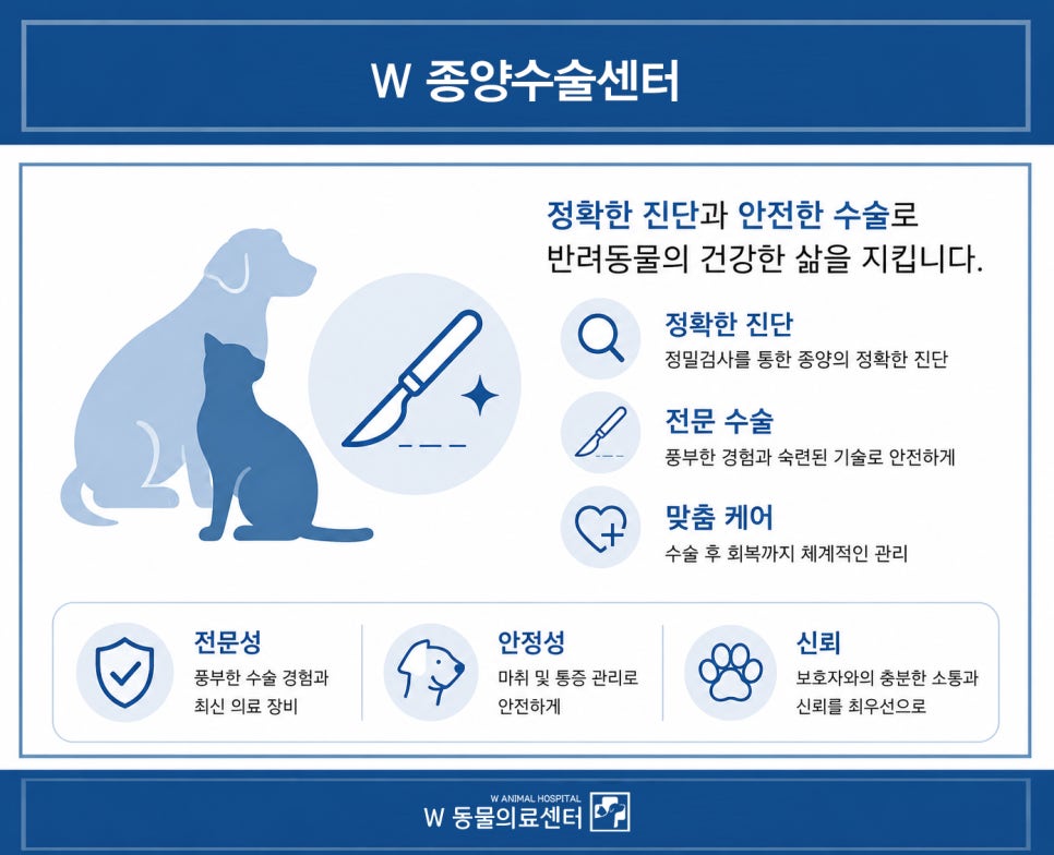 비장 사진 5