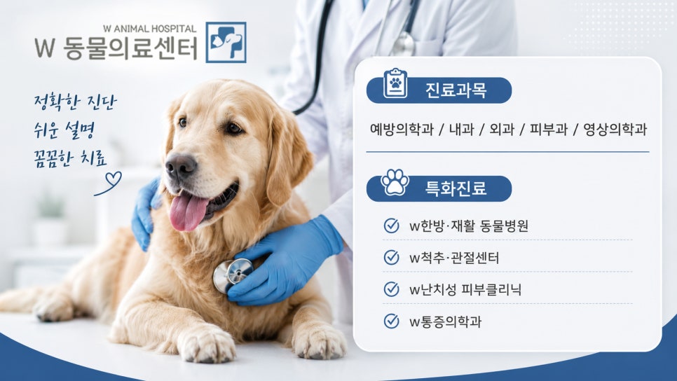 비장 사진 1
