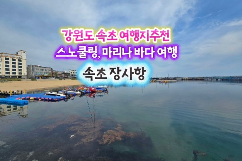Recommended Travel Destination in Gangwon-do: Sokcho Jangsa Port Snorkeling and Marina Sea Trip