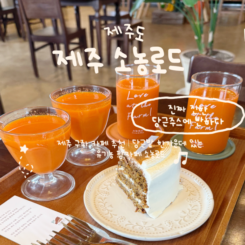 제주도 카페 소농로드 진한 당근주스