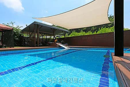 파인힐애견펜션 사진 4