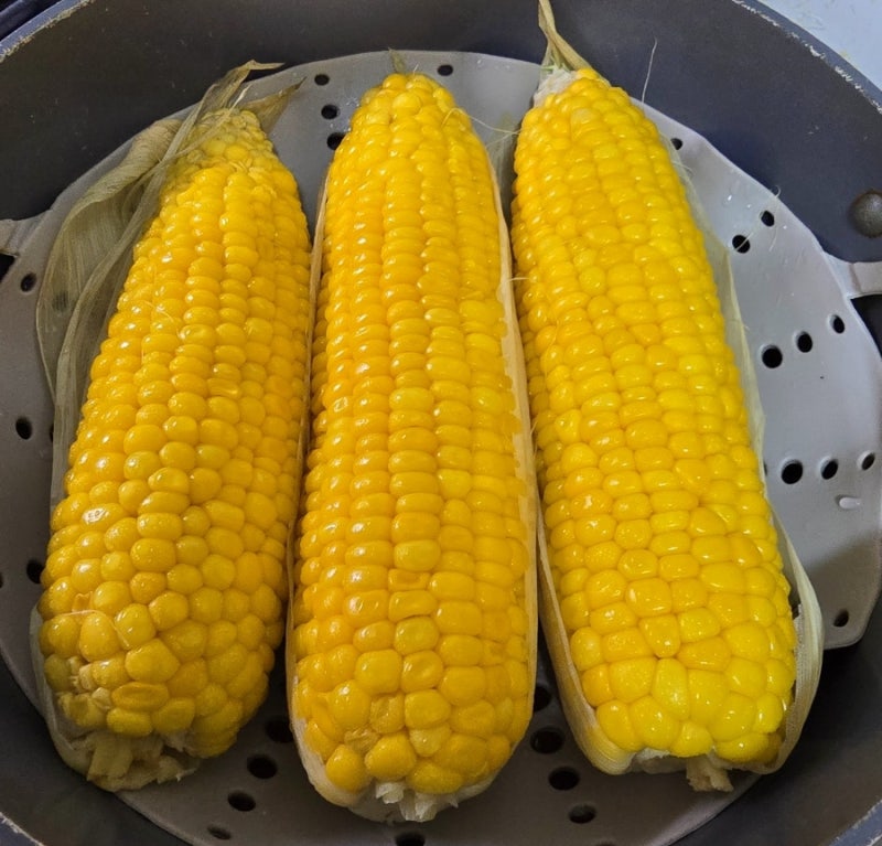 초당옥수수 냄비로 찌는법 삶는법| 초당옥수수 보관법 여름옥수수 제철 맛있게 먹는법