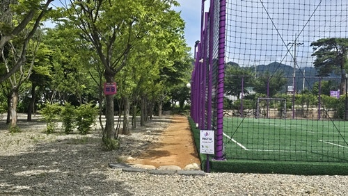 보라빛 낭만펜션&캠핑장 사진 4