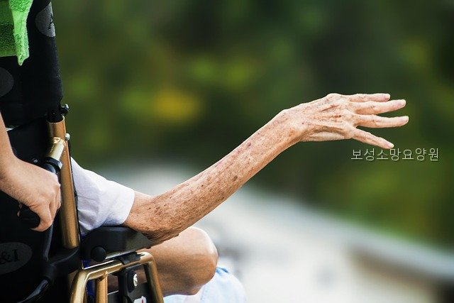 보성소망요양원 사진 2