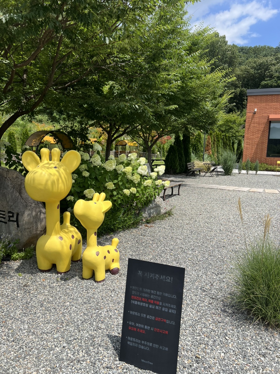 마운트리 사진 3