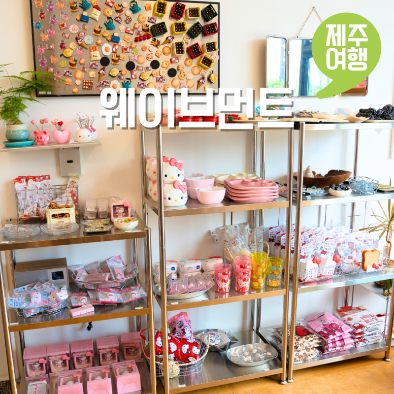 제주도 키티 리빙 소품샵 웨이브먼트 센스있는 여행 선물 추천