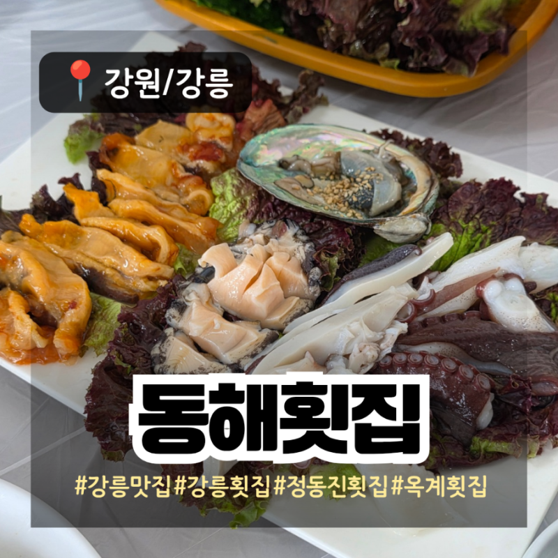 [강원/강릉] 동해횟집: 정동진 근처 현지인 추천 가성비 횟집 (탑스텐호텔·썬크루즈호텔 근....