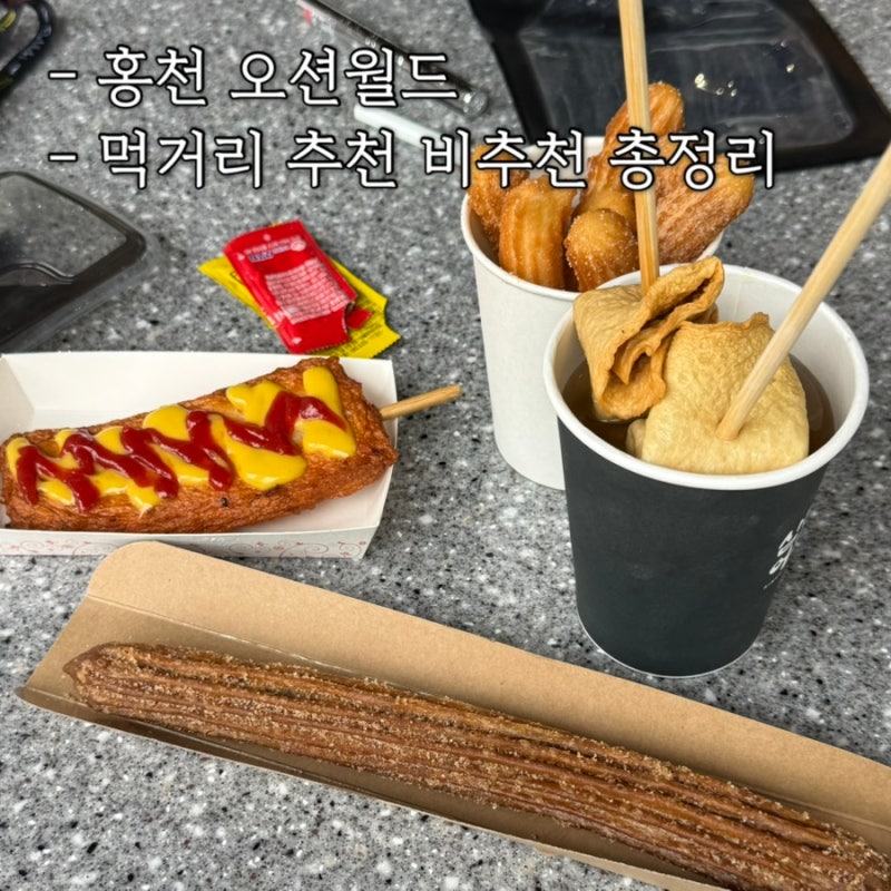 홍천 오션월드 실내 실외 먹거리 추천 비추천 총정리 후기
