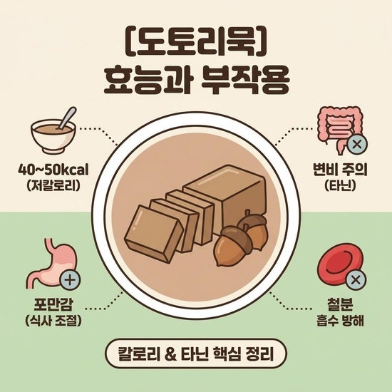 도토리묵 효능 부작용 영양성분 칼로리, 건강하게 먹는법