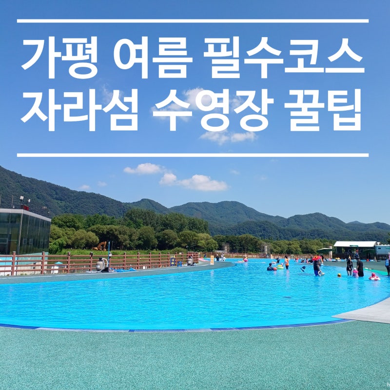 가평 자라섬 캠핑장 수영장 현장 이용 꿀팁 TOP 5