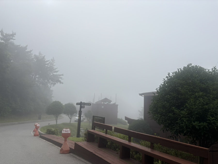 대명춘 사진 1