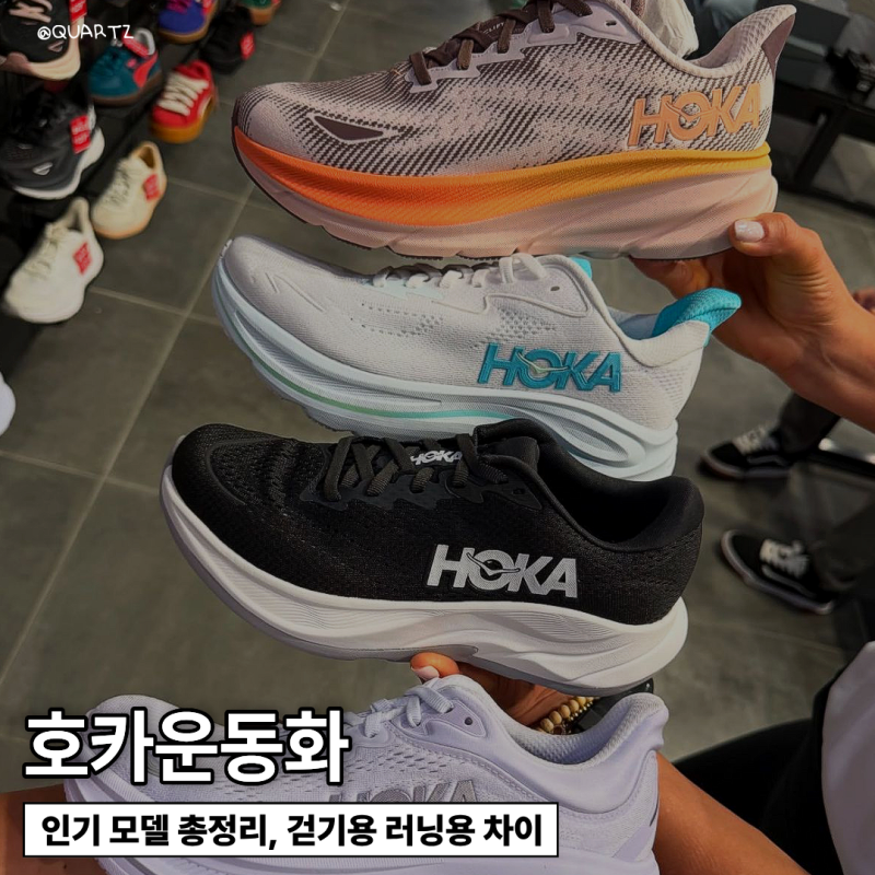 호카운동화 5종 비교, 본디와 클리프톤 차이 한눈에