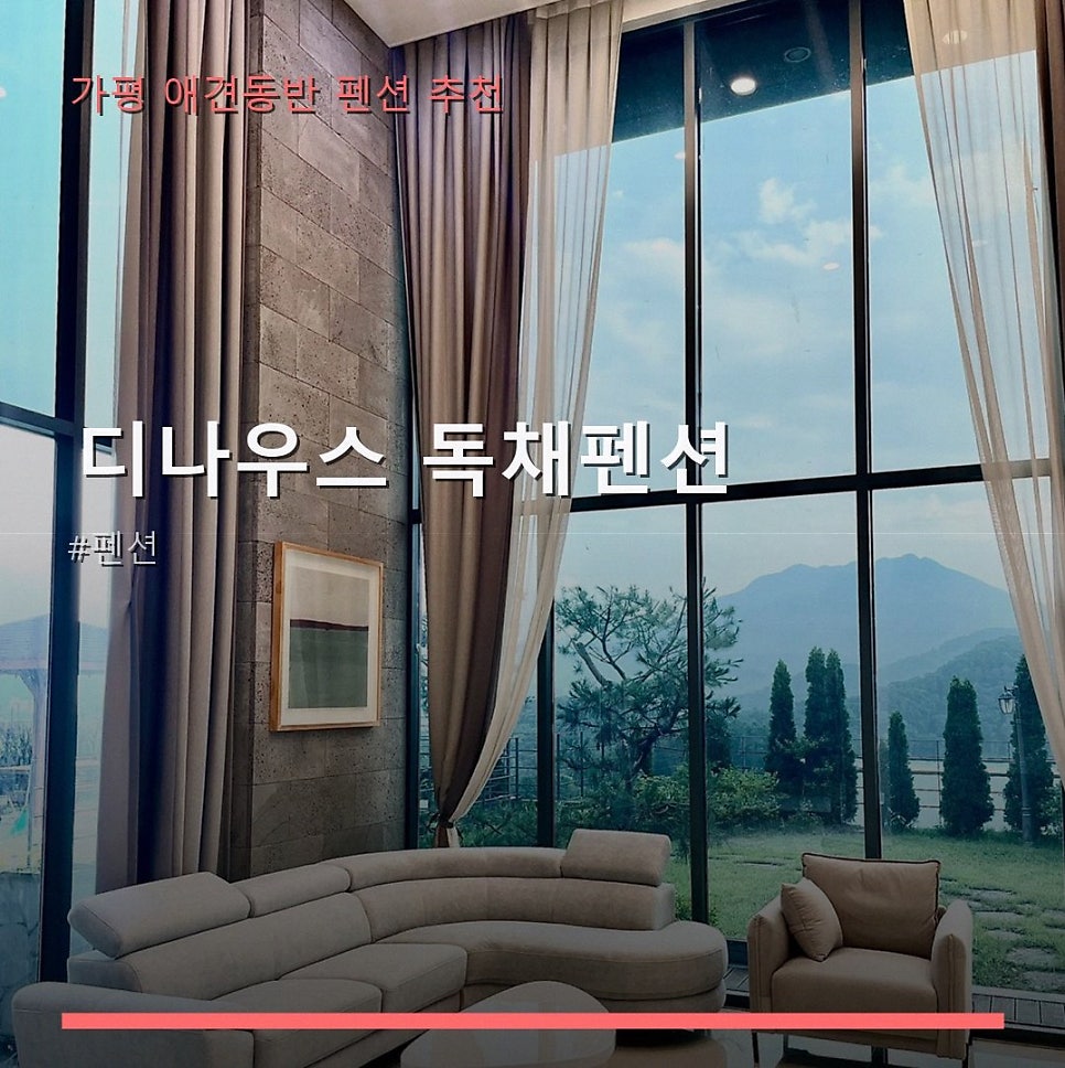 디나우스 사진
