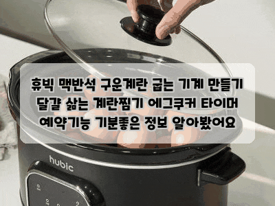 휴빅 맥반석 구운계란 굽는 기계 만들기 달걀 삶는 계란찜기 에그쿠커 타이머 예약기능 기분....