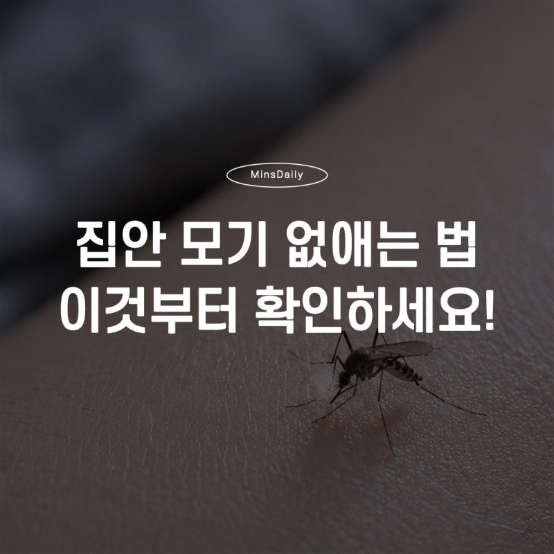 여름철 집안 모기 없애는 법｜모기 퇴치보다 중요한 예방법과 생활습관 총정리
